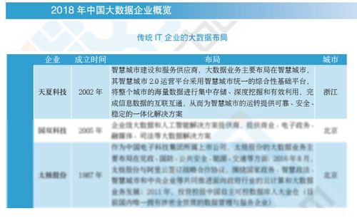 2018中國大數據企業報告出爐，天夏科技榮登IT企業大數據布局榜信息系統集成服務領域